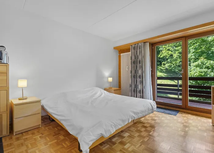 Emeraudes 403 Pres De La Telecabine A 公寓 安塞热